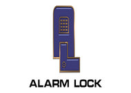 Budget Mobile Locksmith Keyless Entry Provider